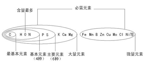 基本元素|大量元素，主要元素，基本元素，最基本元素。帮忙解释区别一下。